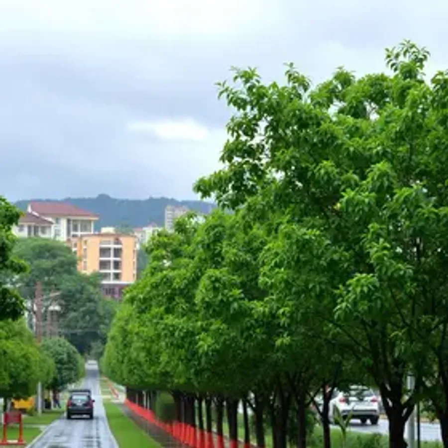 Cuiabá retoma arborização urbana com meta de 3.500 novas árvores na temporada de chuvas