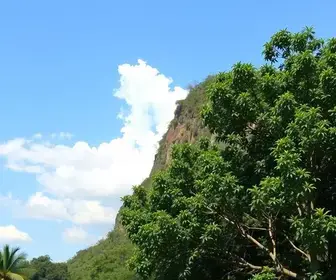 Cuiabá realiza Dia D do Outubro Rosa neste sábado em 72 USFs