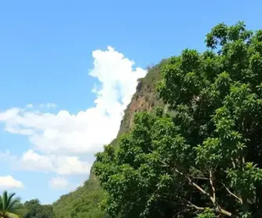 Cuiabá realiza Dia D do Outubro Rosa neste sábado em 72 USFs